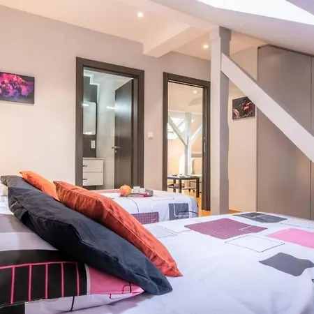 4 Etoiles Prestige, Climatise, Espace, Confort, Neuf, Calme, Jardin, Foret, Strasbourg Sud