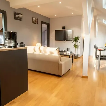 4 Etoiles Prestige, Climatise, Espace, Confort, Neuf, Calme, Jardin, Foret, Strasbourg Sud