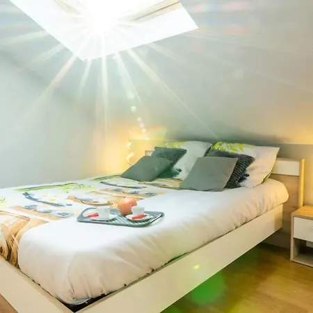 公寓 4 Etoiles Prestige, Climatise, Espace, Confort, Neuf, Calme, Jardin, Foret, Strasbourg Sud *
