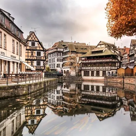 公寓 4 Etoiles Prestige, Climatise, Espace, Confort, Neuf, Calme, Jardin, Foret, Strasbourg Sud *