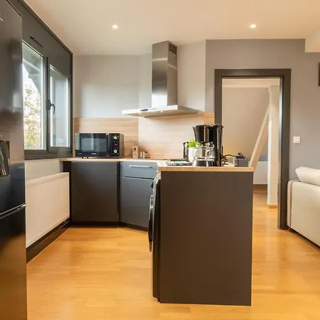 4 Etoiles Prestige, Climatise, Espace, Confort, Neuf, Calme, Jardin, Foret, Strasbourg Sud