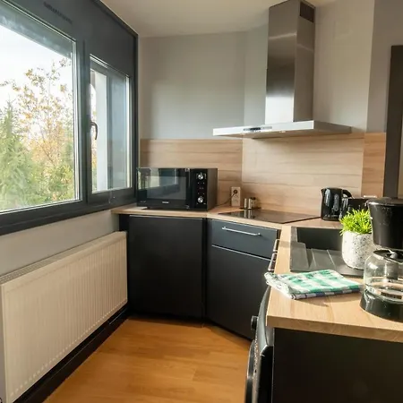 4 Etoiles Prestige, Climatise, Espace, Confort, Neuf, Calme, Jardin, Foret, Strasbourg Sud 公寓 奥斯特瓦尔德