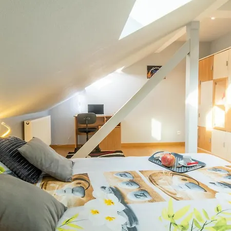 公寓 4 Etoiles Prestige, Climatise, Espace, Confort, Neuf, Calme, Jardin, Foret, Strasbourg Sud