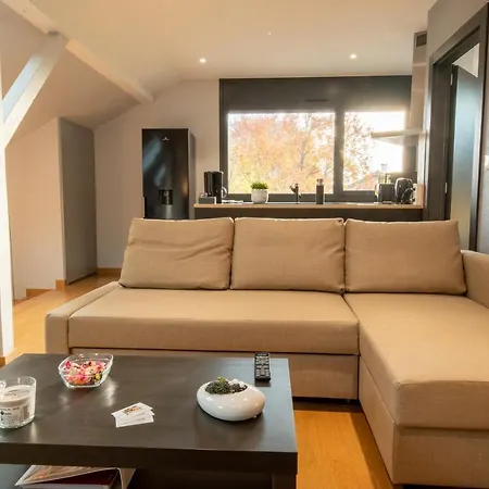 4 Etoiles Prestige, Climatise, Espace, Confort, Neuf, Calme, Jardin, Foret, Strasbourg Sud 公寓