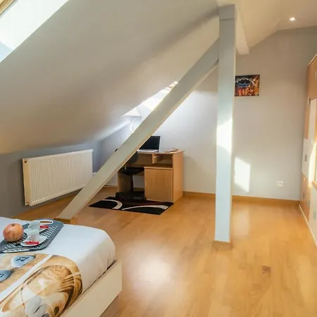 公寓 4 Etoiles Prestige, Climatise, Espace, Confort, Neuf, Calme, Jardin, Foret, Strasbourg Sud 奥斯特瓦尔德