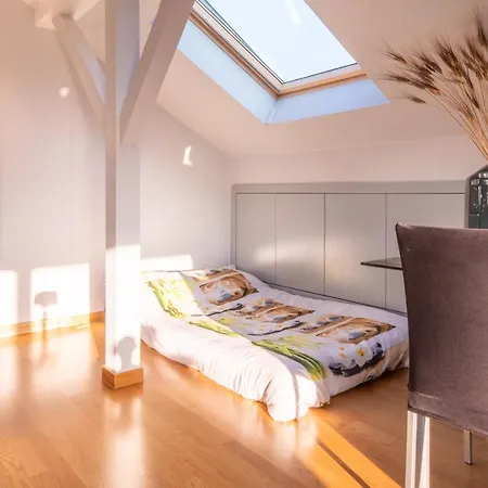 4 Etoiles Prestige, Climatise, Espace, Confort, Neuf, Calme, Jardin, Foret, Strasbourg Sud