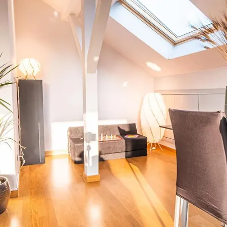 4 Etoiles Prestige, Climatise, Espace, Confort, Neuf, Calme, Jardin, Foret, Strasbourg Sud 奥斯特瓦尔德